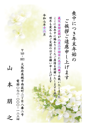 ZK005