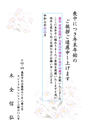 ZS601