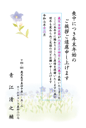 ZS801